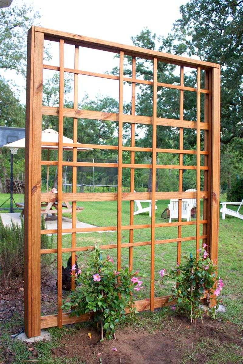 DIY Garden Trellis
