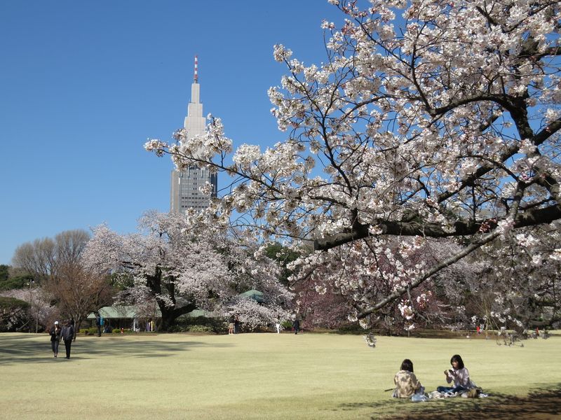 Shinjuku Gyoen