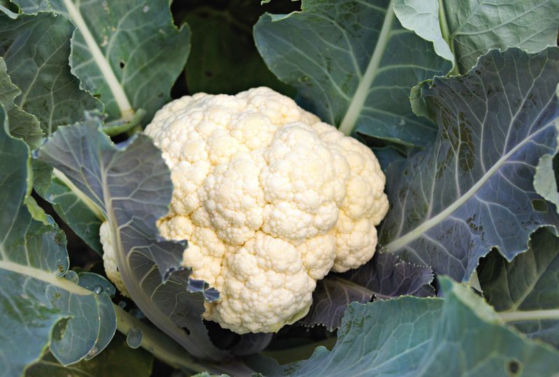 Cauliflower