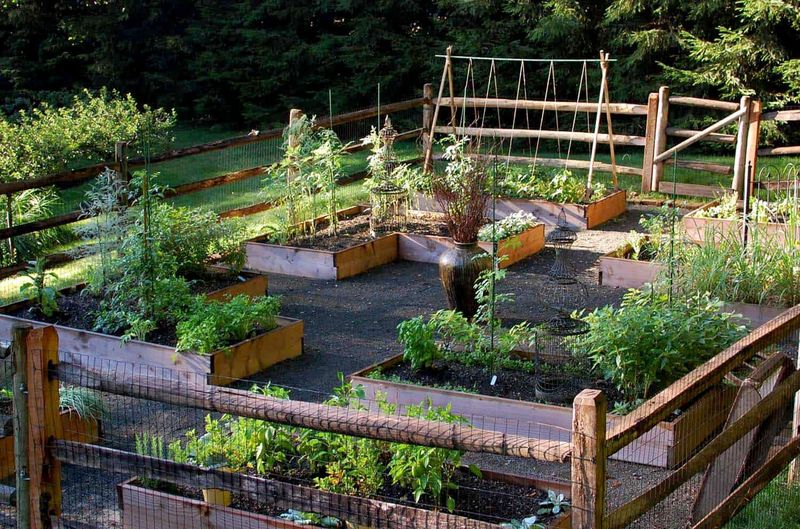 Rustic Vegetable Patch