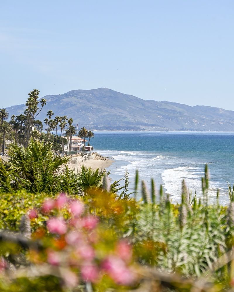 Butterfly Sanctuary of the Sea