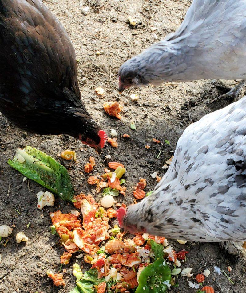 Over-treating and Over-supplementing