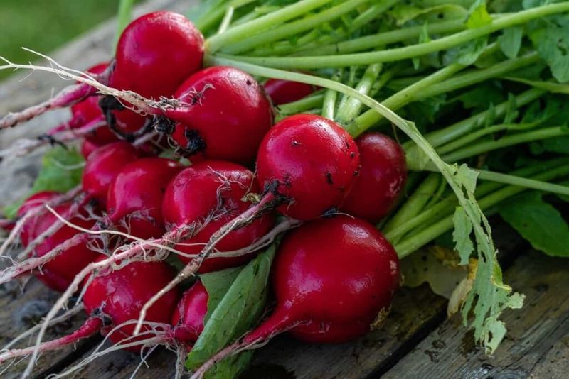 Radishes