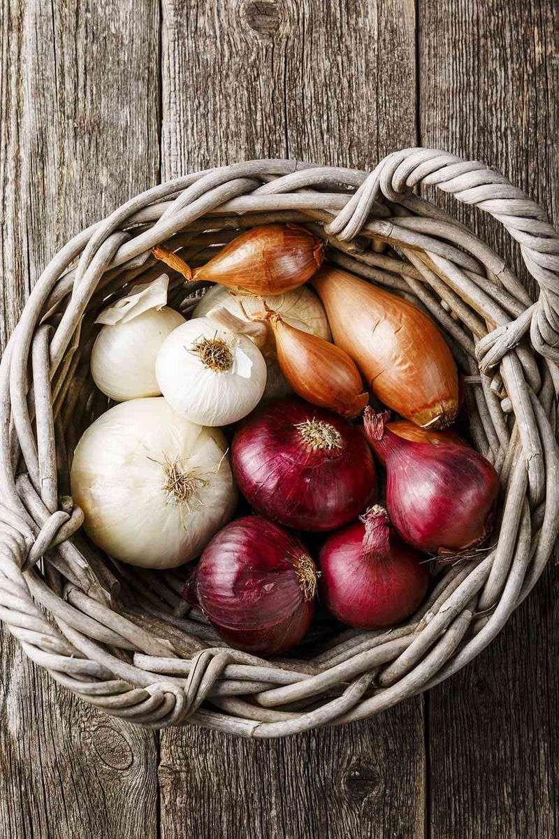 Onions