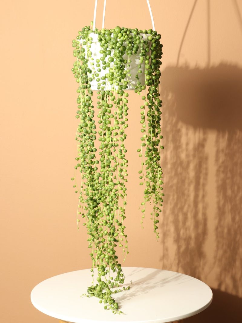 String of Pearls