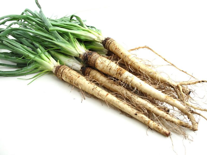 Salsify