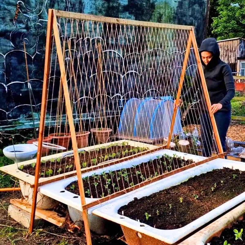 String & Frame Trellis