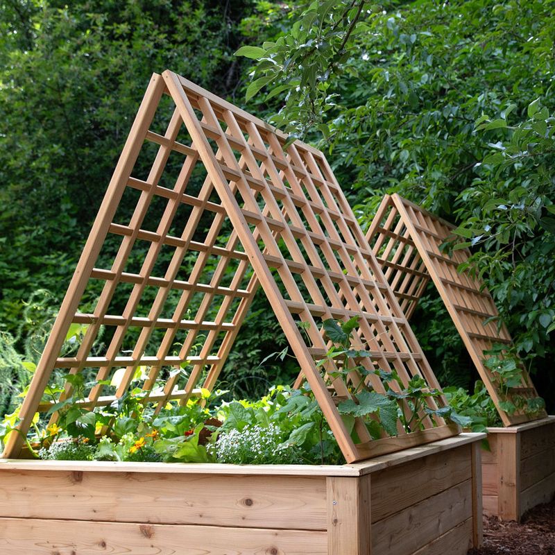 A-Frame Trellis