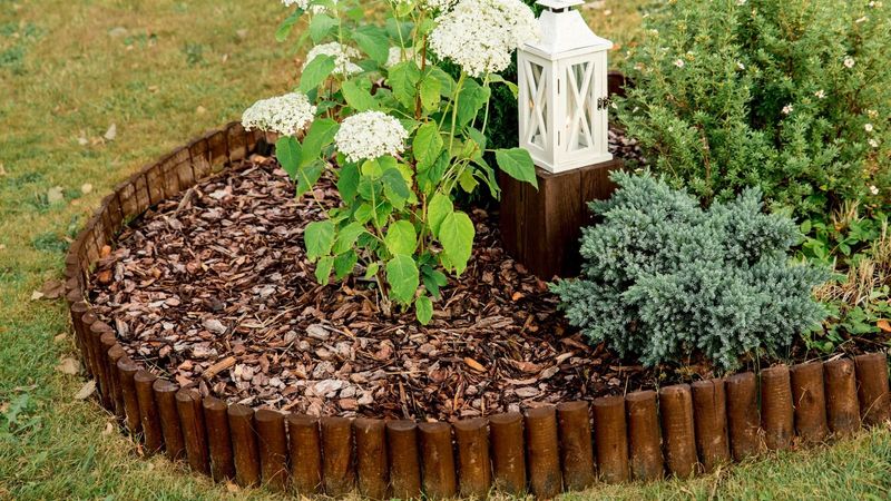 Wood Chip Mulch