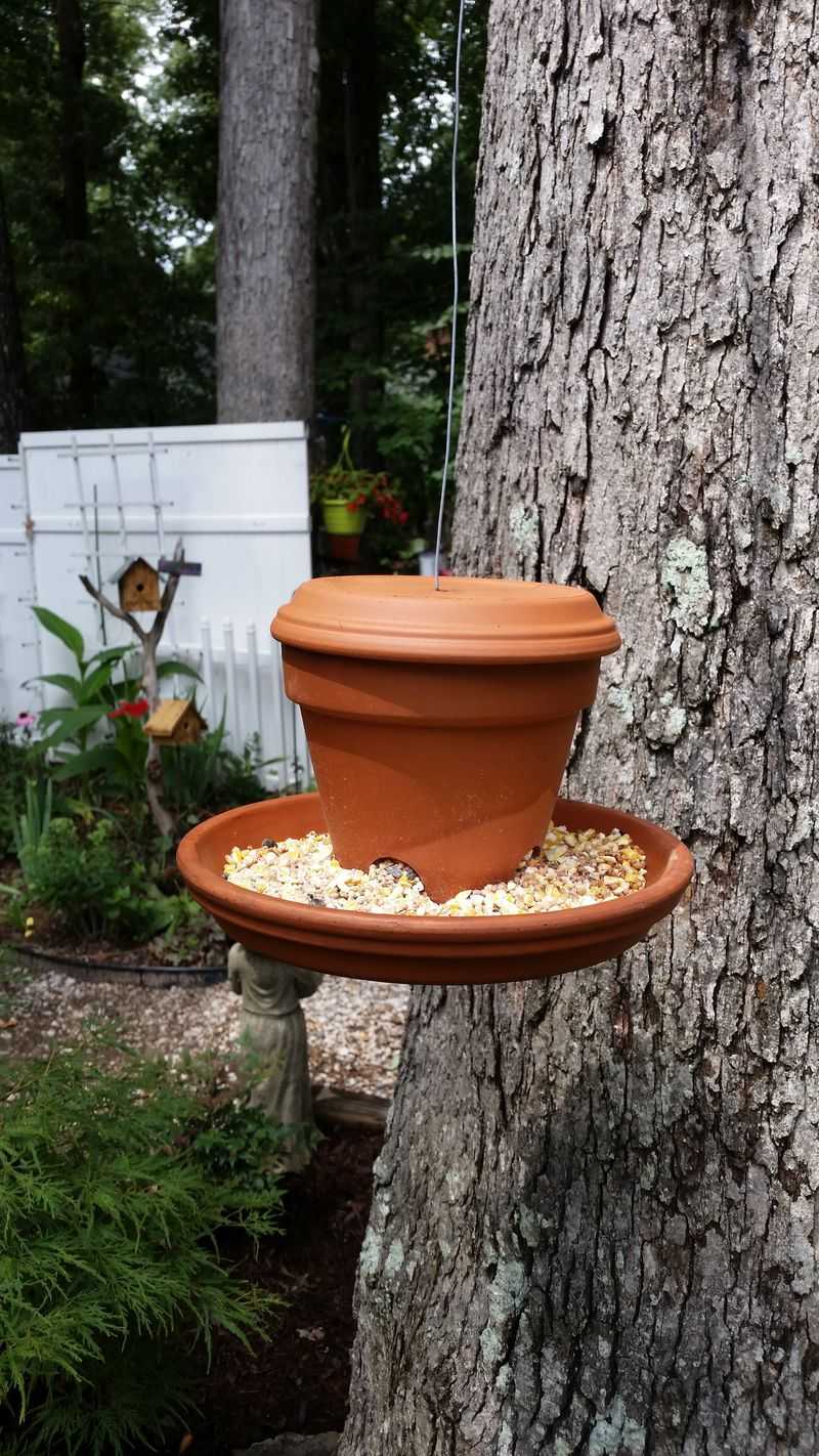 Bird Feeder