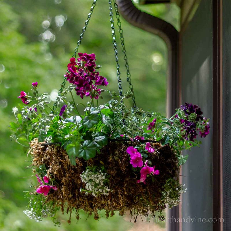 Soak a Dry Basket Thoroughly