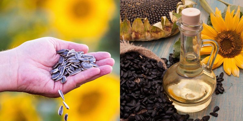 Sunflower Oil Mixture