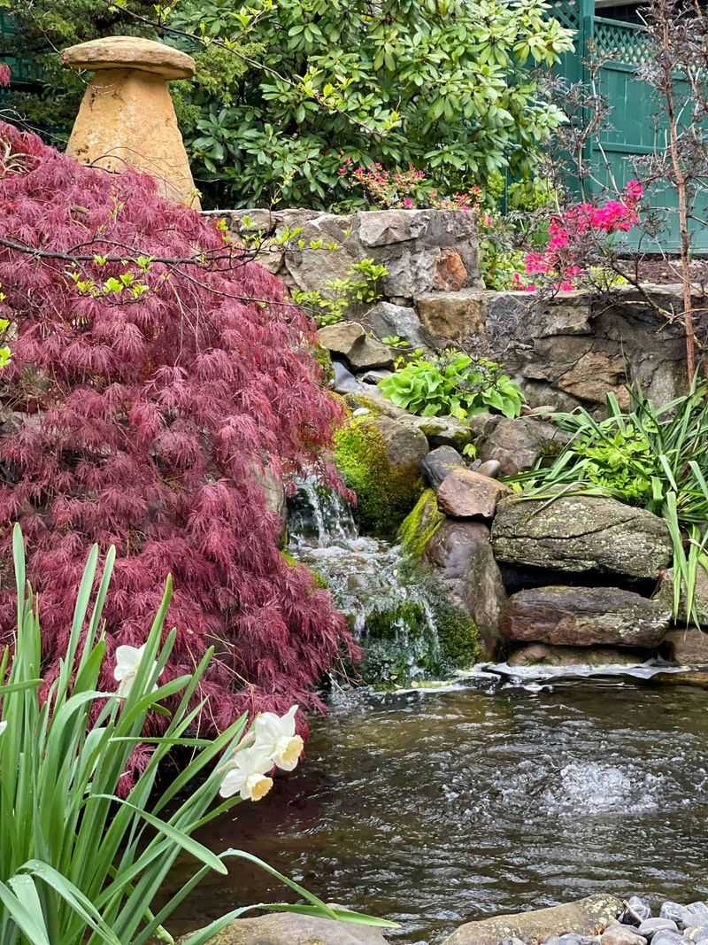 Water Feature Haven