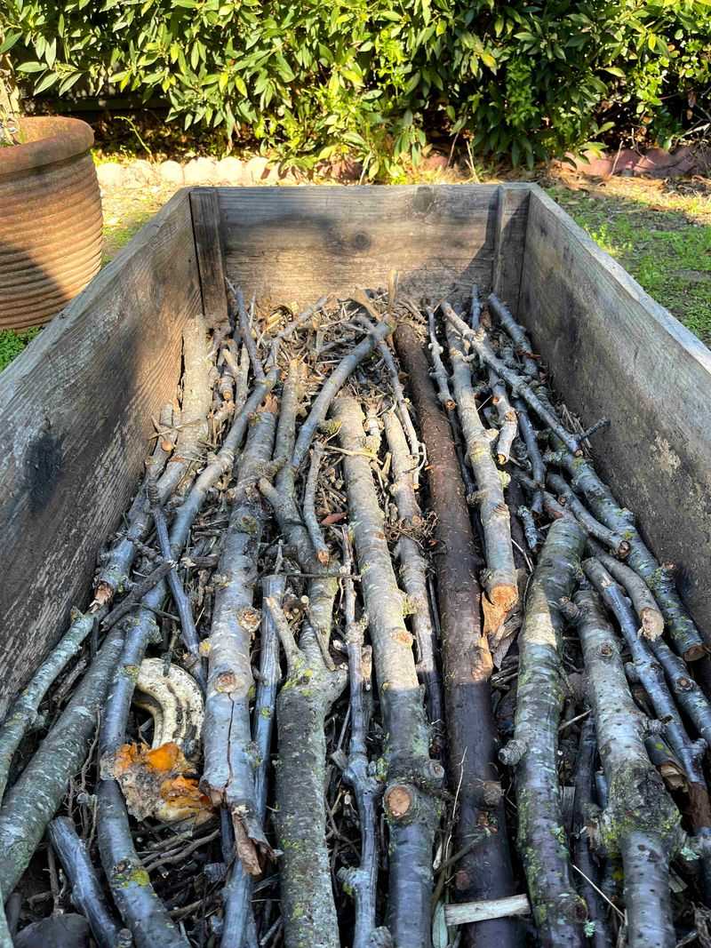 Hugelkultur (Buried Wood Gardening)