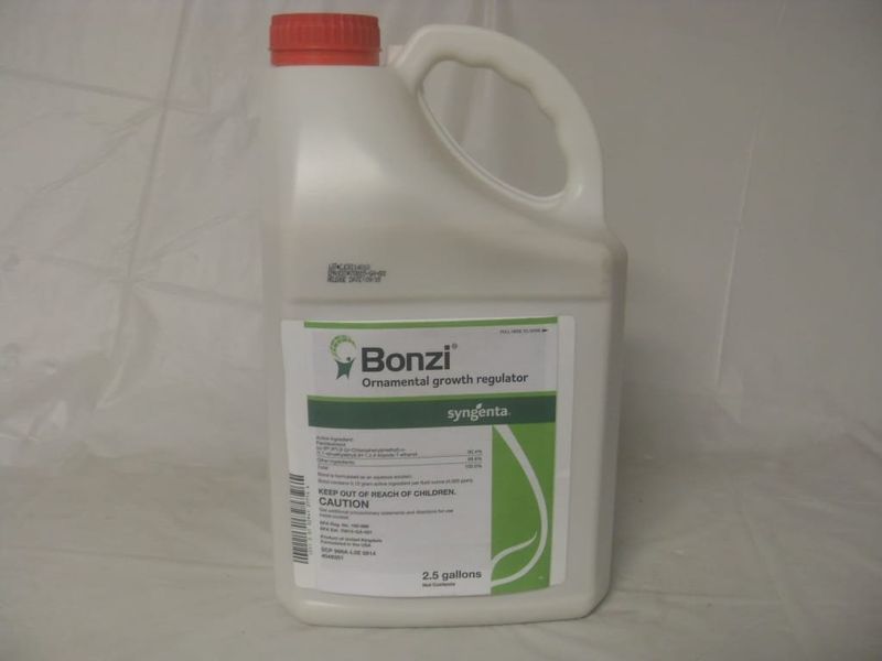 Paclobutrazol – The Bonsai Maker