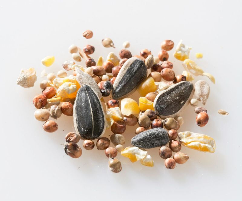 Offer Diverse Birdseed