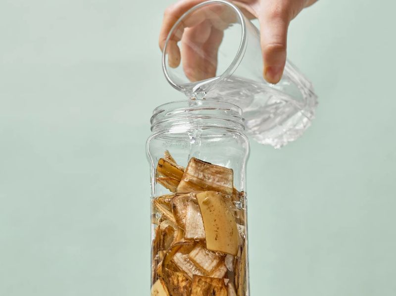 Banana Peel Water for Roses