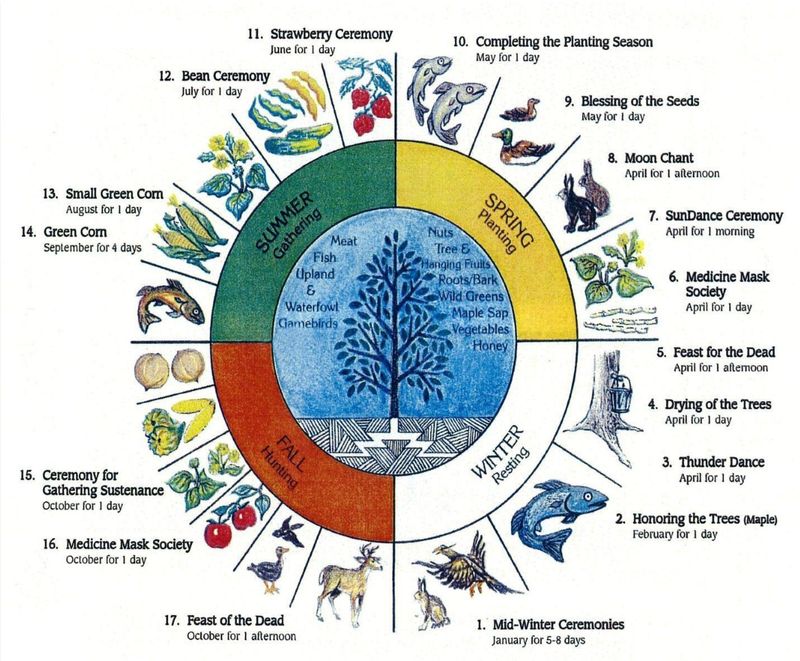 Indigenous Knowledge Systems Mastered Phenology