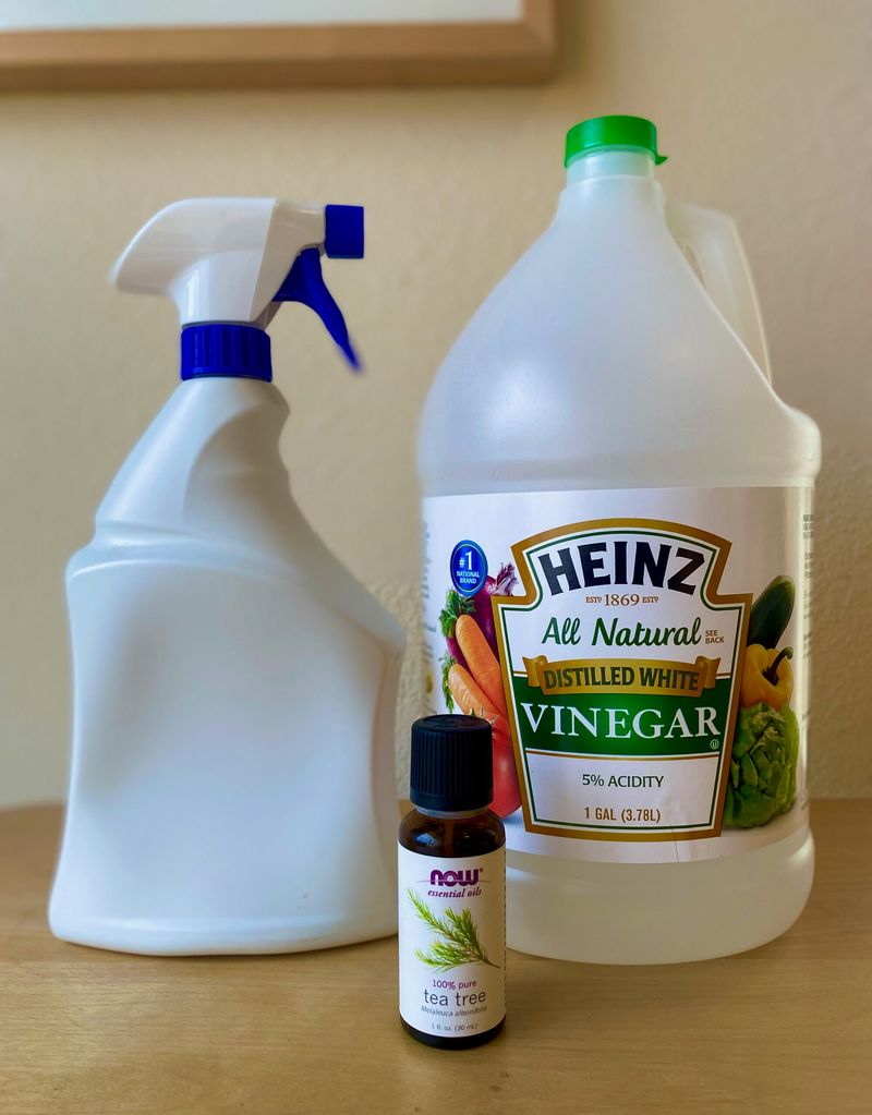 Vinegar Ant Deterrent