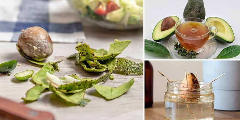 Avocado Skins & Pits