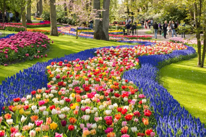 Keukenhof Gardens