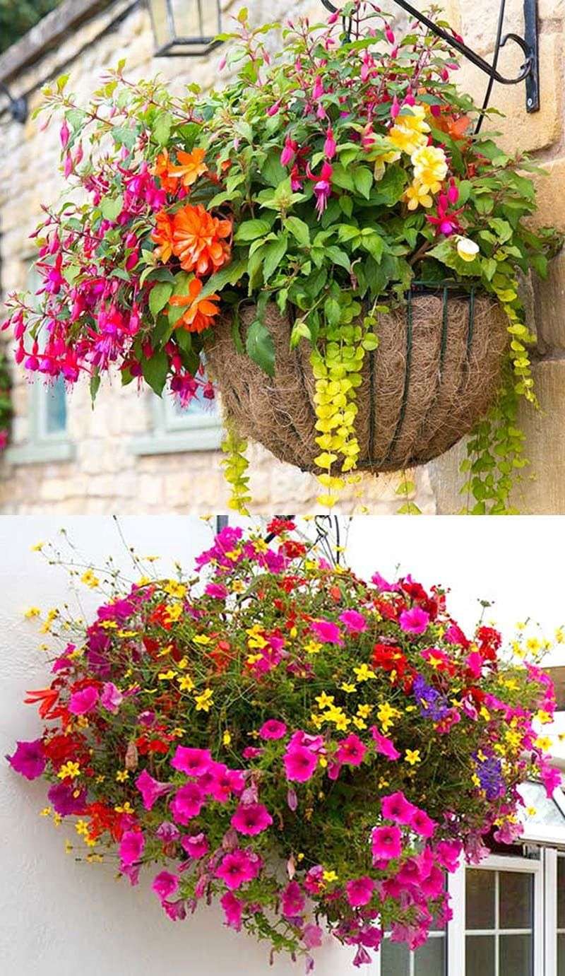 Hanging Flower Baskets