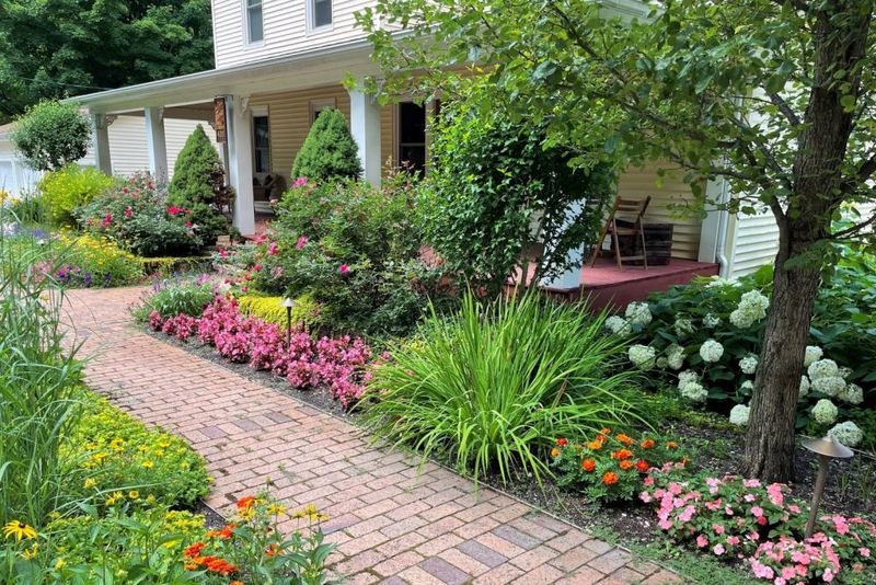 Improper Plant Placement