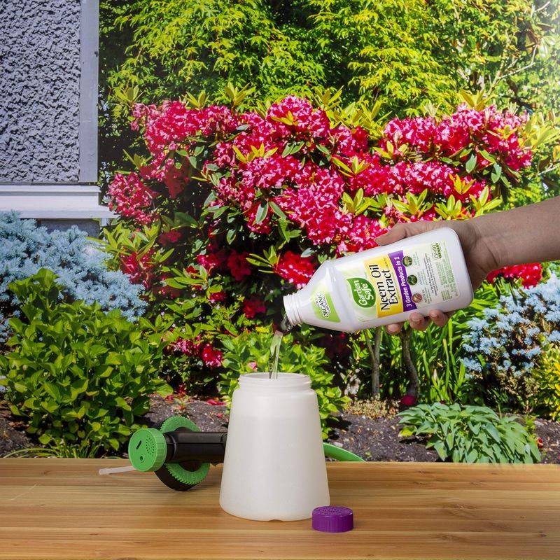 Neem Oil + Soap Spray