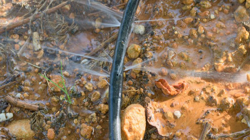 Fixing Irrigation Leaks