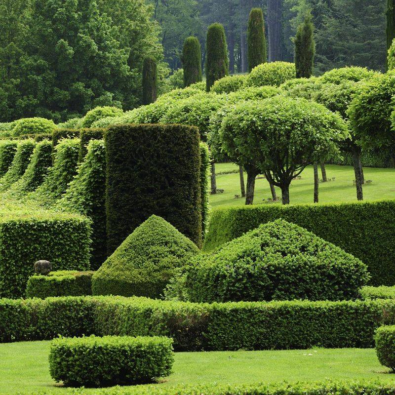 Elegant Topiary Sculptures