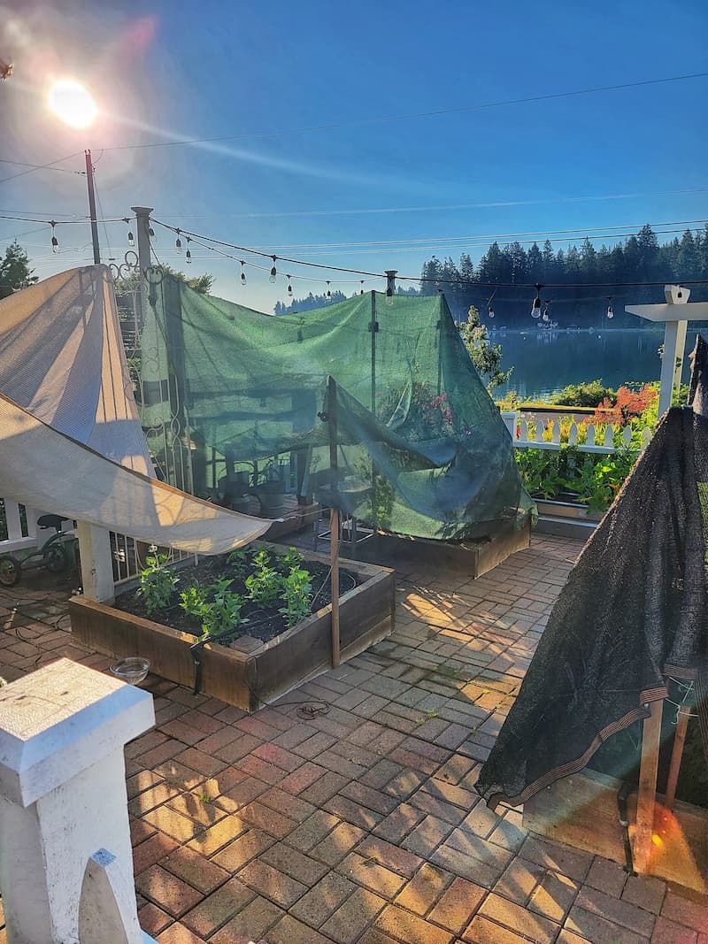 Protect from Wind and Extreme Heat