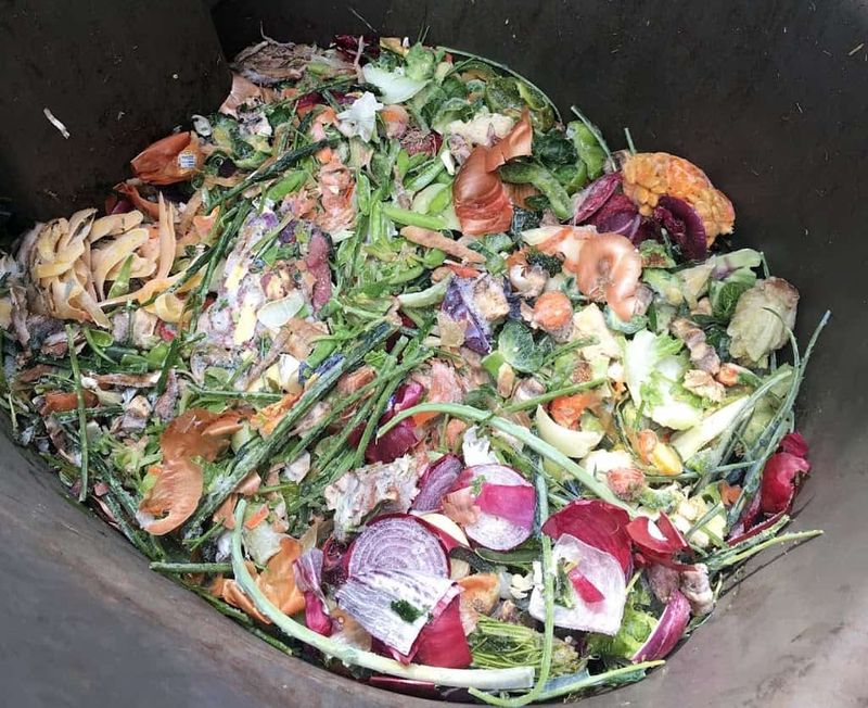 Composting with Scraps
