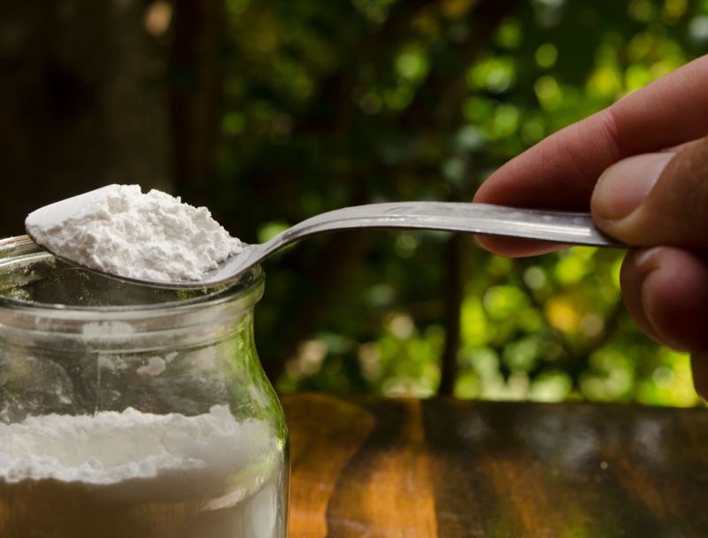 Baking Soda Fungicide