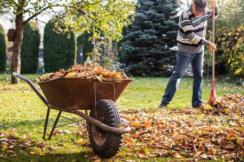 Fall Cleanup (The Marathon)