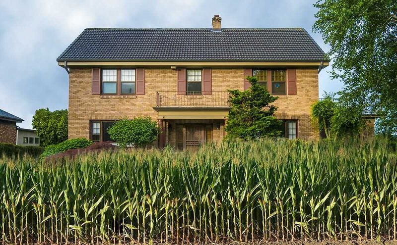 Vegetable Gardens in Front Yards
