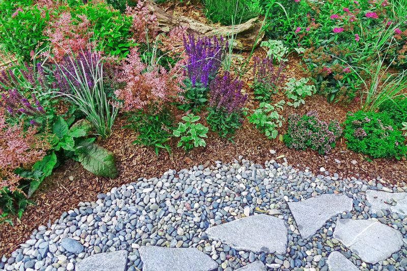 Establish Mulch Alternatives
