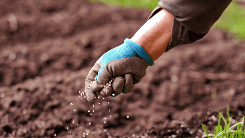 Improve Your Soil Every Single Year
