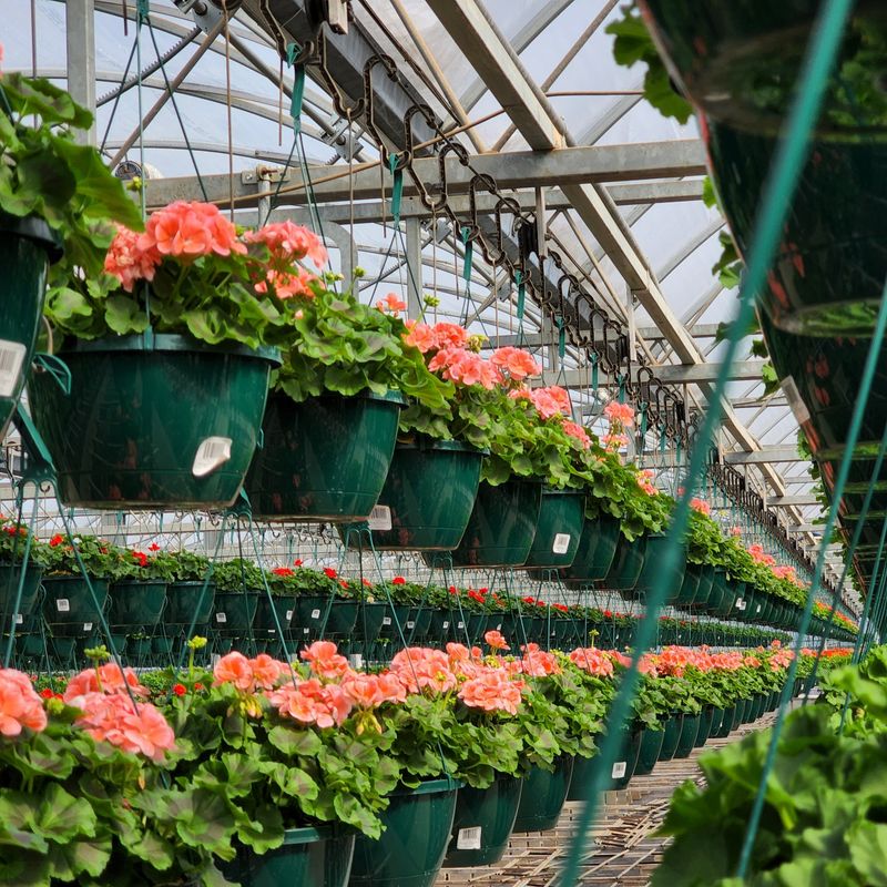 Ensure Good Air Circulation