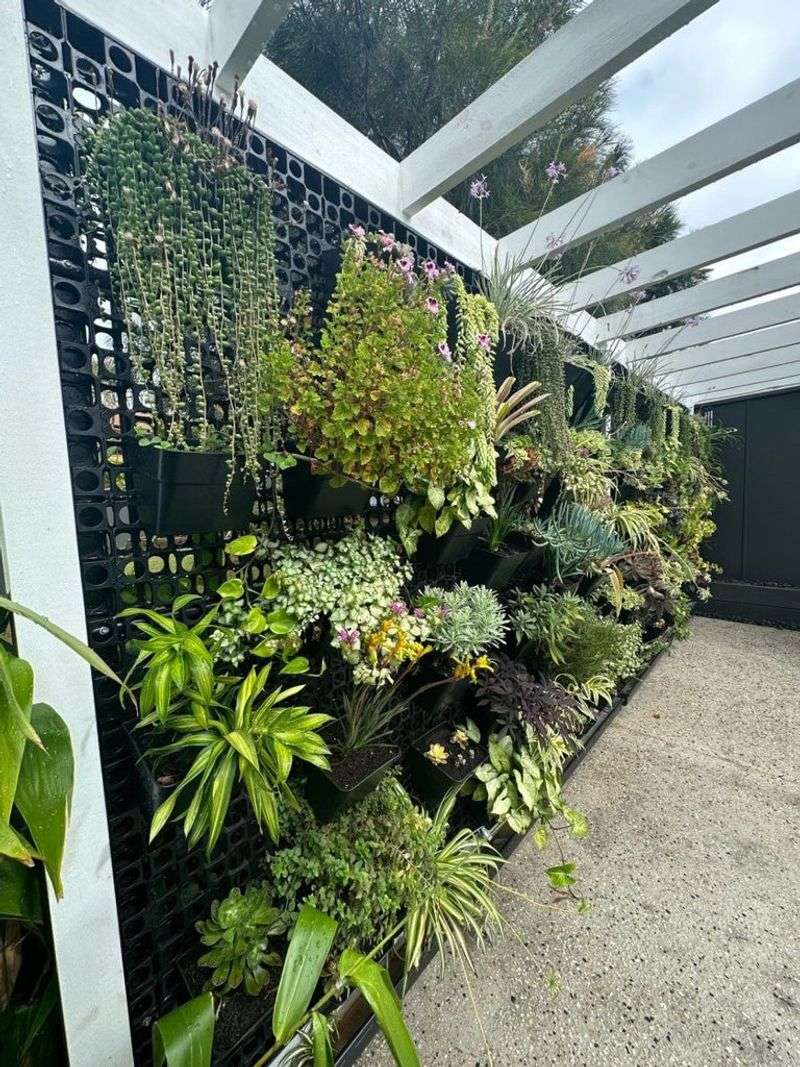 Hanging Plant Wall