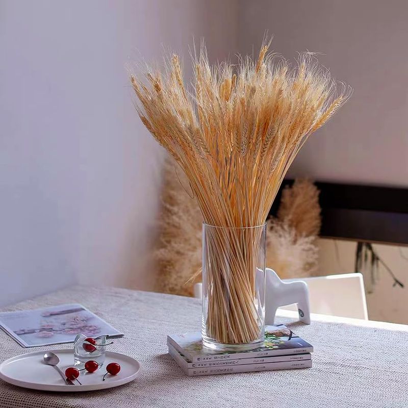 Wheat Stalks (Triticum aestivum)