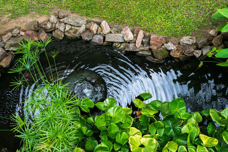 Install a Pond