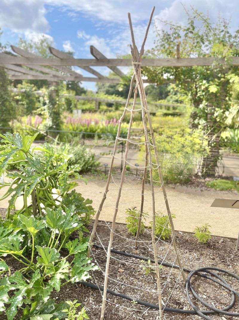 Build a Simple Trellis