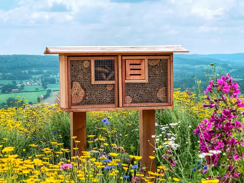Build Homes for Beneficial Insects