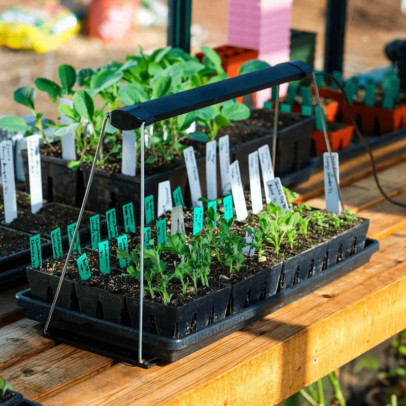 Prep Your Seed Starting Station Early
