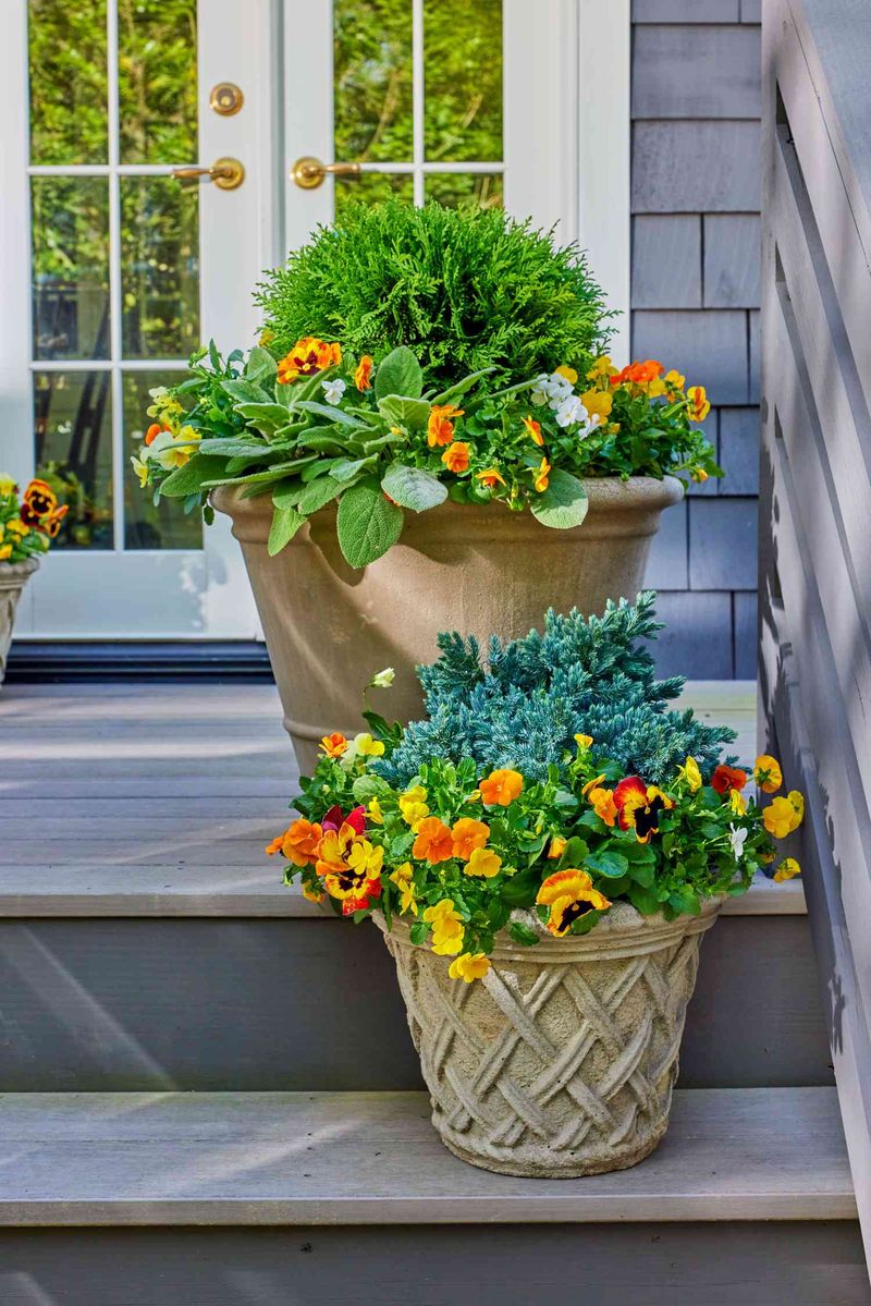 Grow a Themed Container Garden