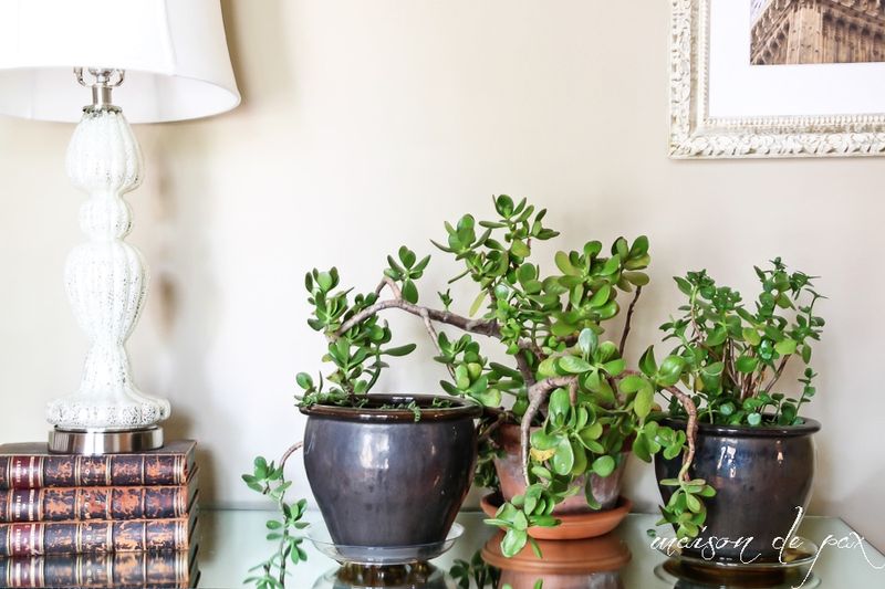 Utilizing Reflective Surfaces