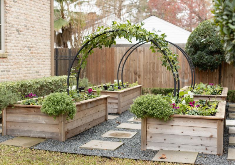 Raised Beds