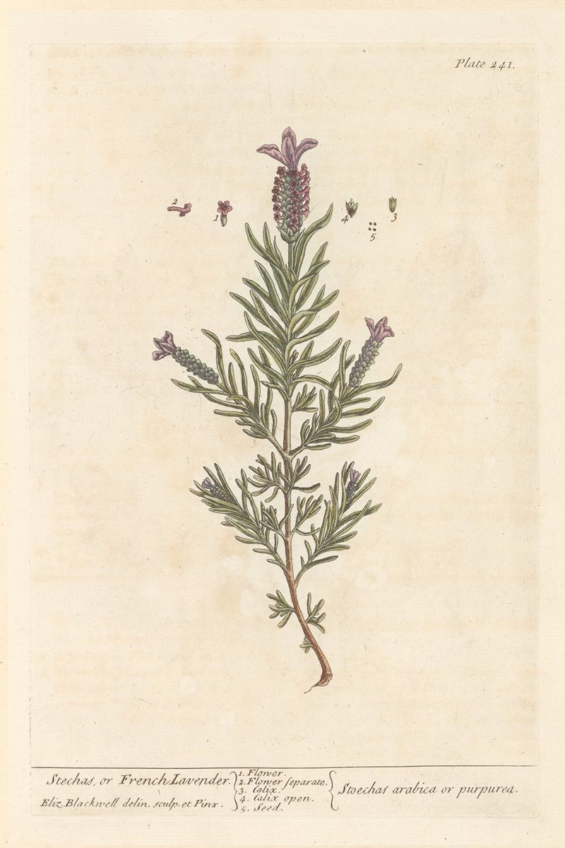 Historical Significance