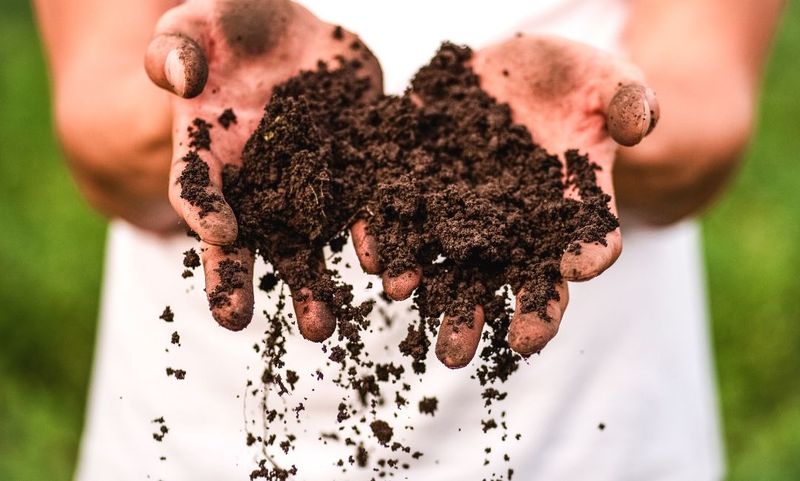 Neglecting Soil Health