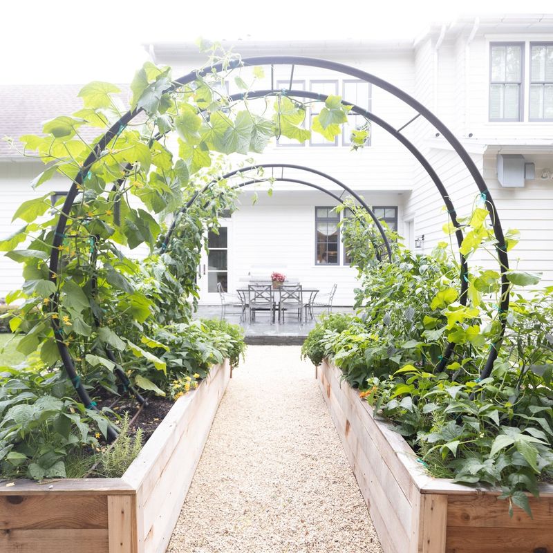 Arched Plant Trellises